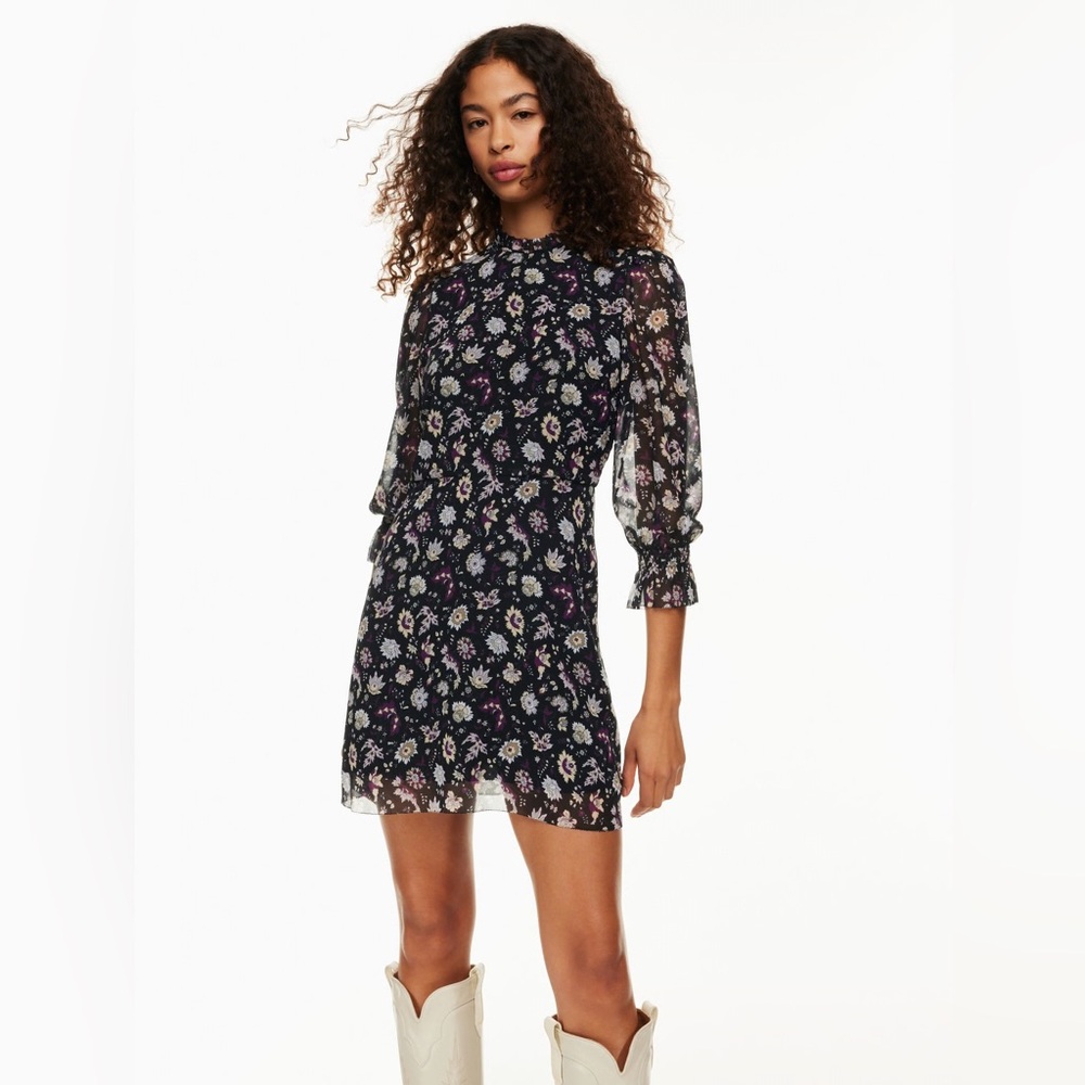 NWT Wilfred Swept Dress